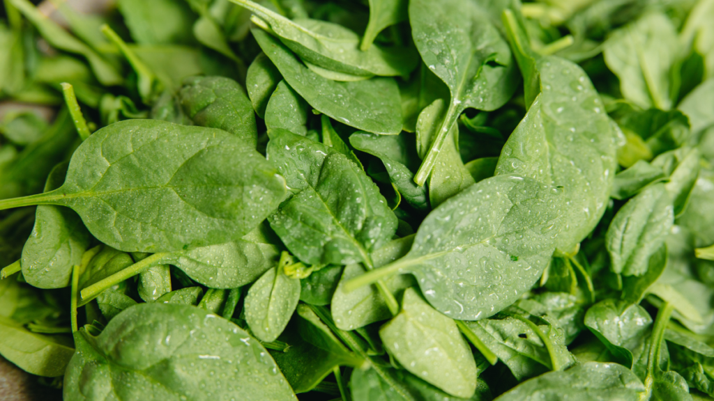 spinach is high in iron,