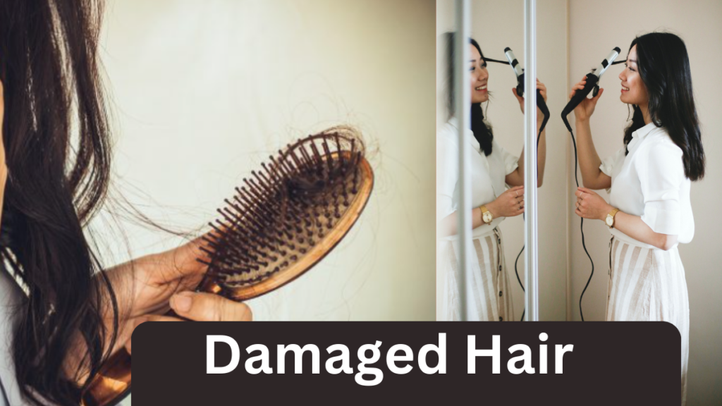  indications of damaged Hair